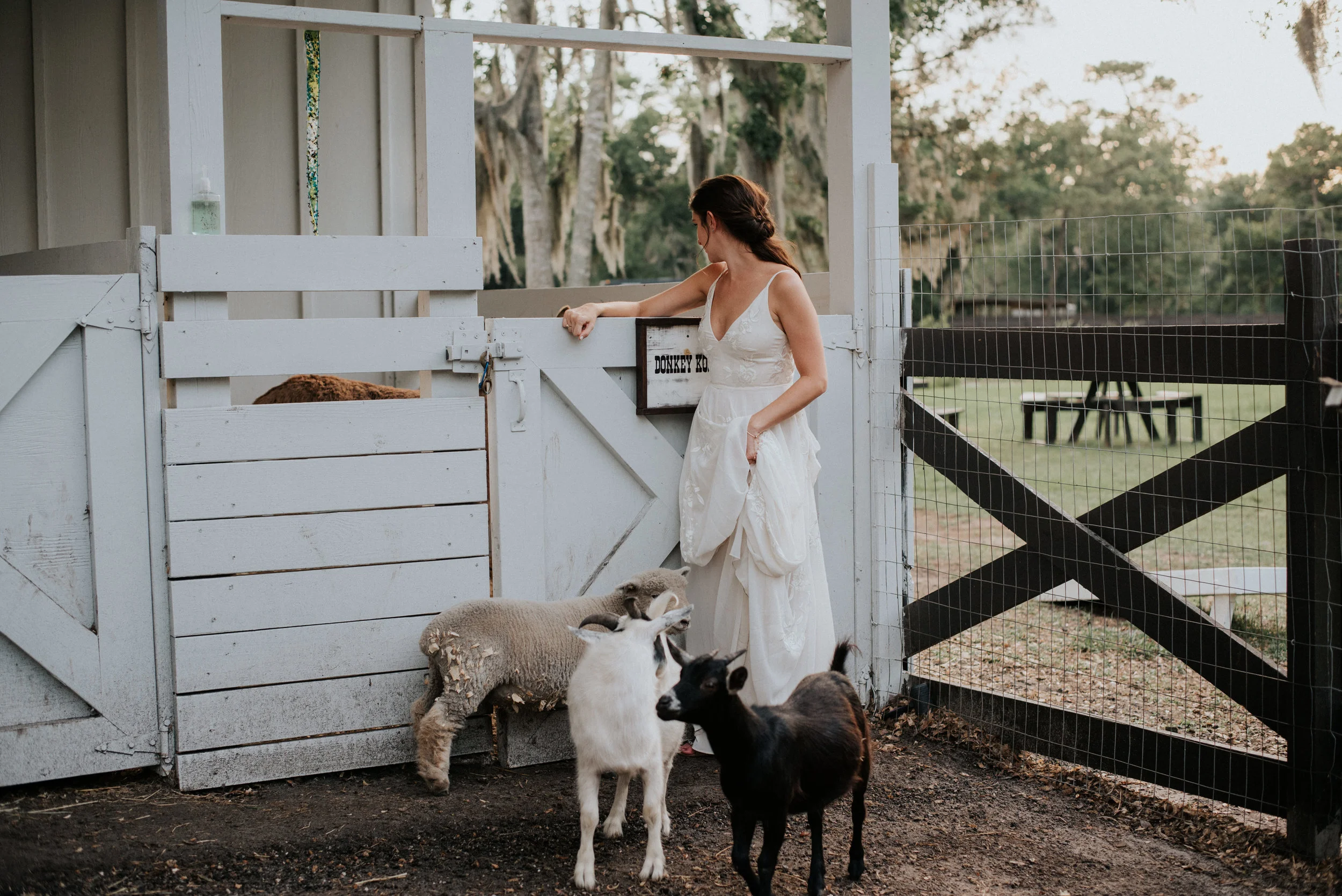  Florida Wedding Photographer, Florida Wedding Photography, Florida Wedding Photos, Orlando Wedding Photography, Orlando Wedding Photographer, Orlando Wedding Photos, Tampa Wedding Photographer, Tampa Wedding Photography, Tampa Wedding Photos, Haus 8