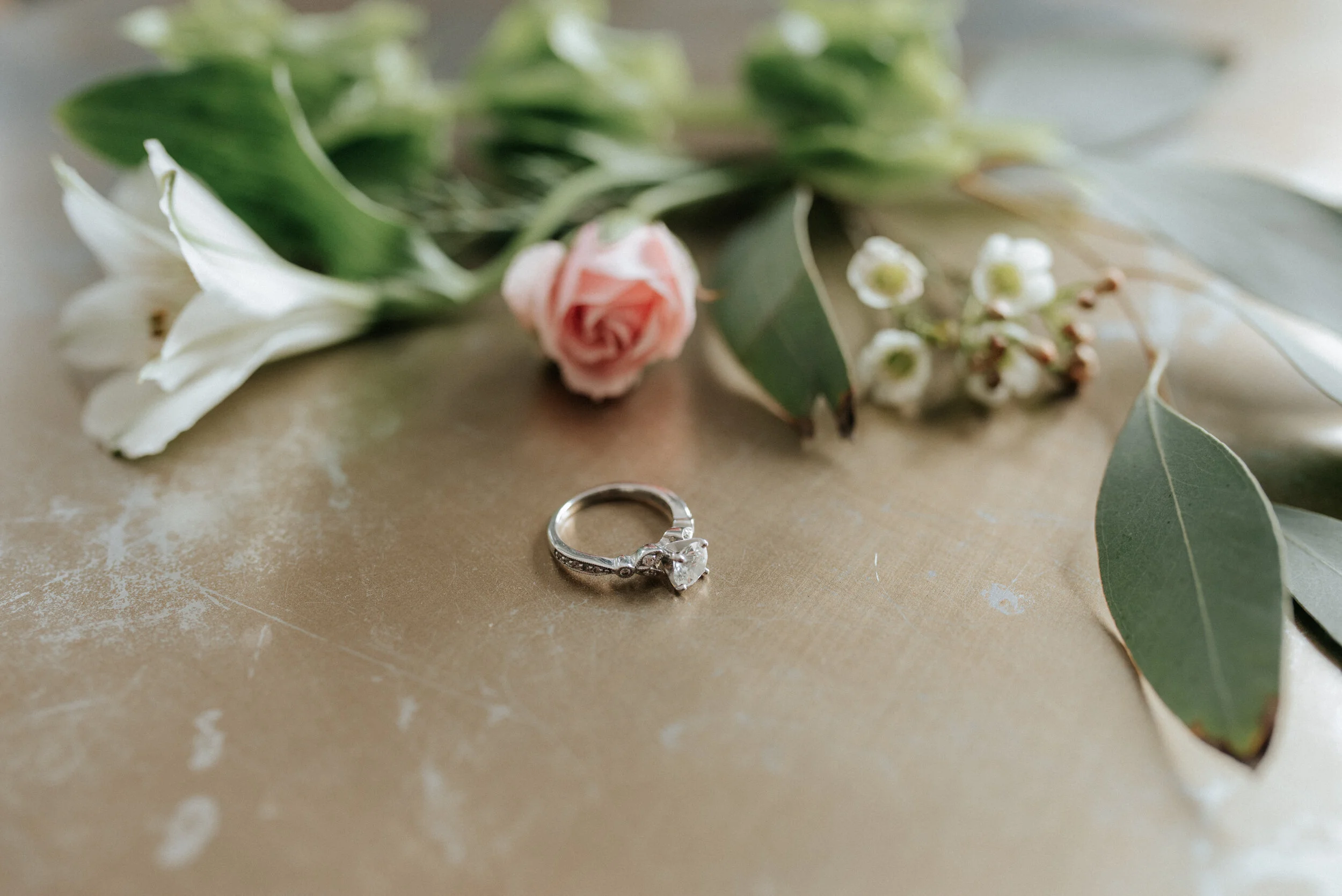  Florida Wedding Photographer, Florida Wedding Photography, Florida Wedding Photos, Orlando Wedding Photography, Orlando Wedding Photographer, Orlando Wedding Photos, Tampa Wedding Photographer, Tampa Wedding Photography, Tampa Wedding Photos, Haus 8