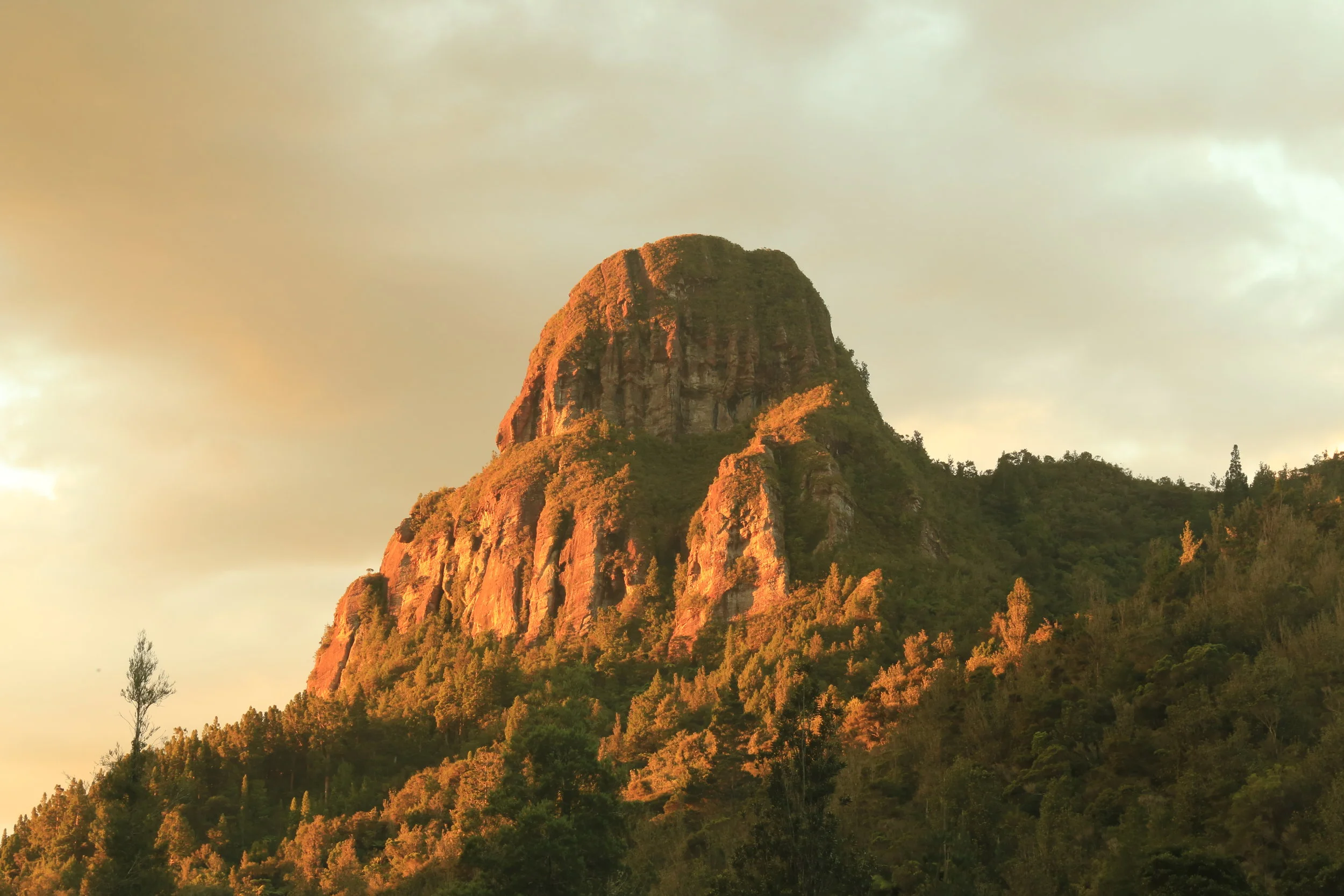 2017-03-19 March to September 2017 002.JPG