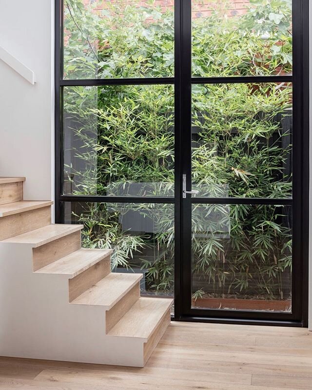 Stairs with a view. Architecture &amp; Interiors @christina.k.architecture Photo by @nathankdavis #stairs #christinakarchitecture #residentialdesign #stairdesign #architecture #interiordesign #interiors #australianarchitecture #architect #melbournear