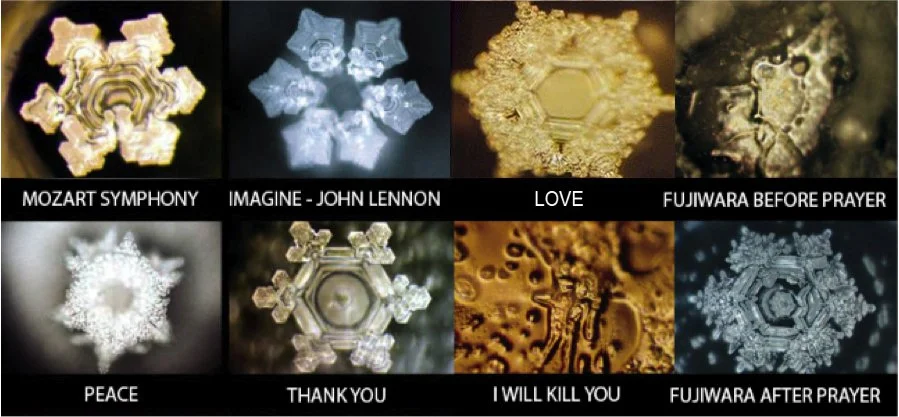 Dr Masaru Emoto's photographs of frozen water molecules exposed to different frequencies of emotion, through meditation, sound and intention. His book, 'The hidden messages in water', expands on his experiments and findings.
