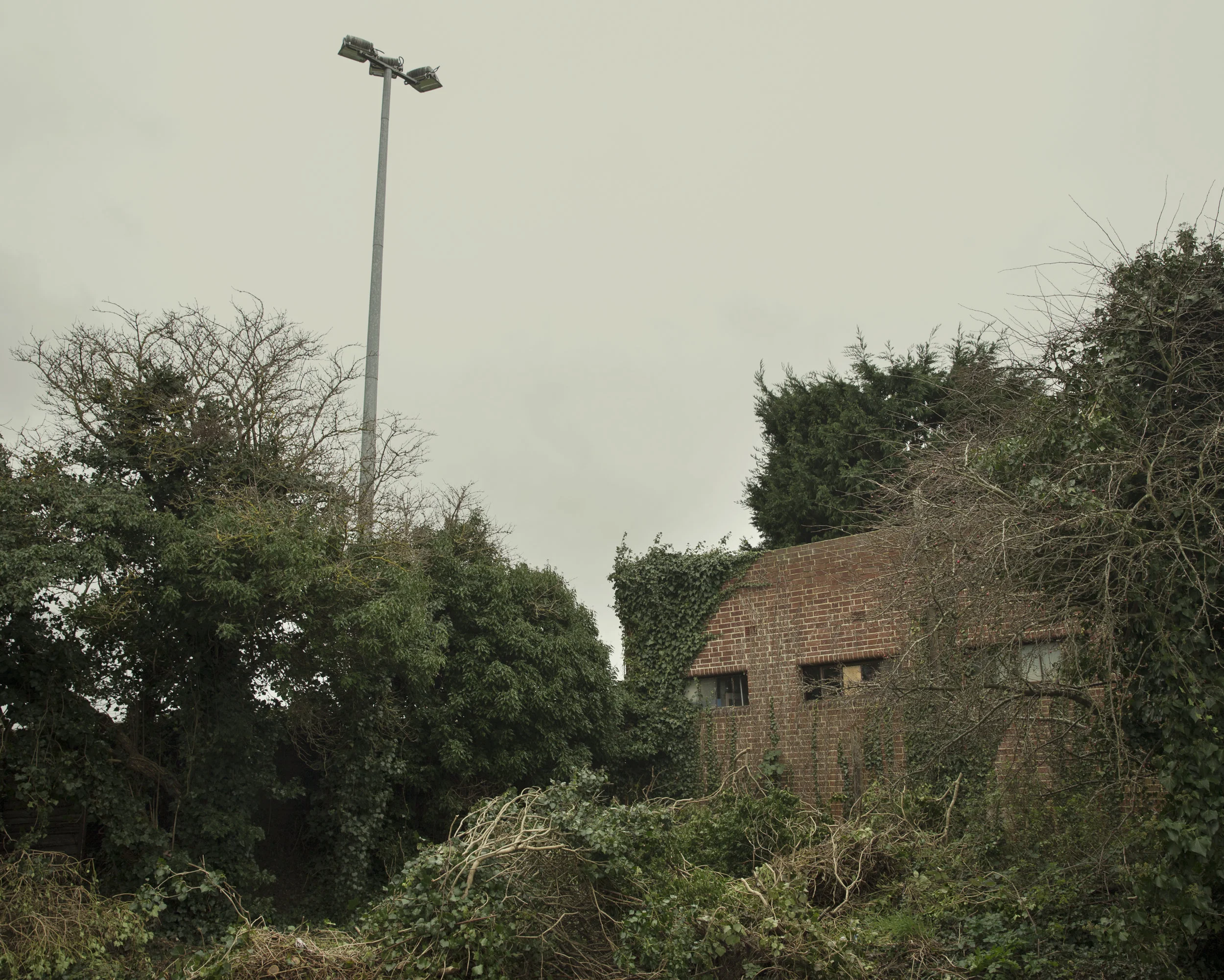 _P2P2749-Edit.jpg