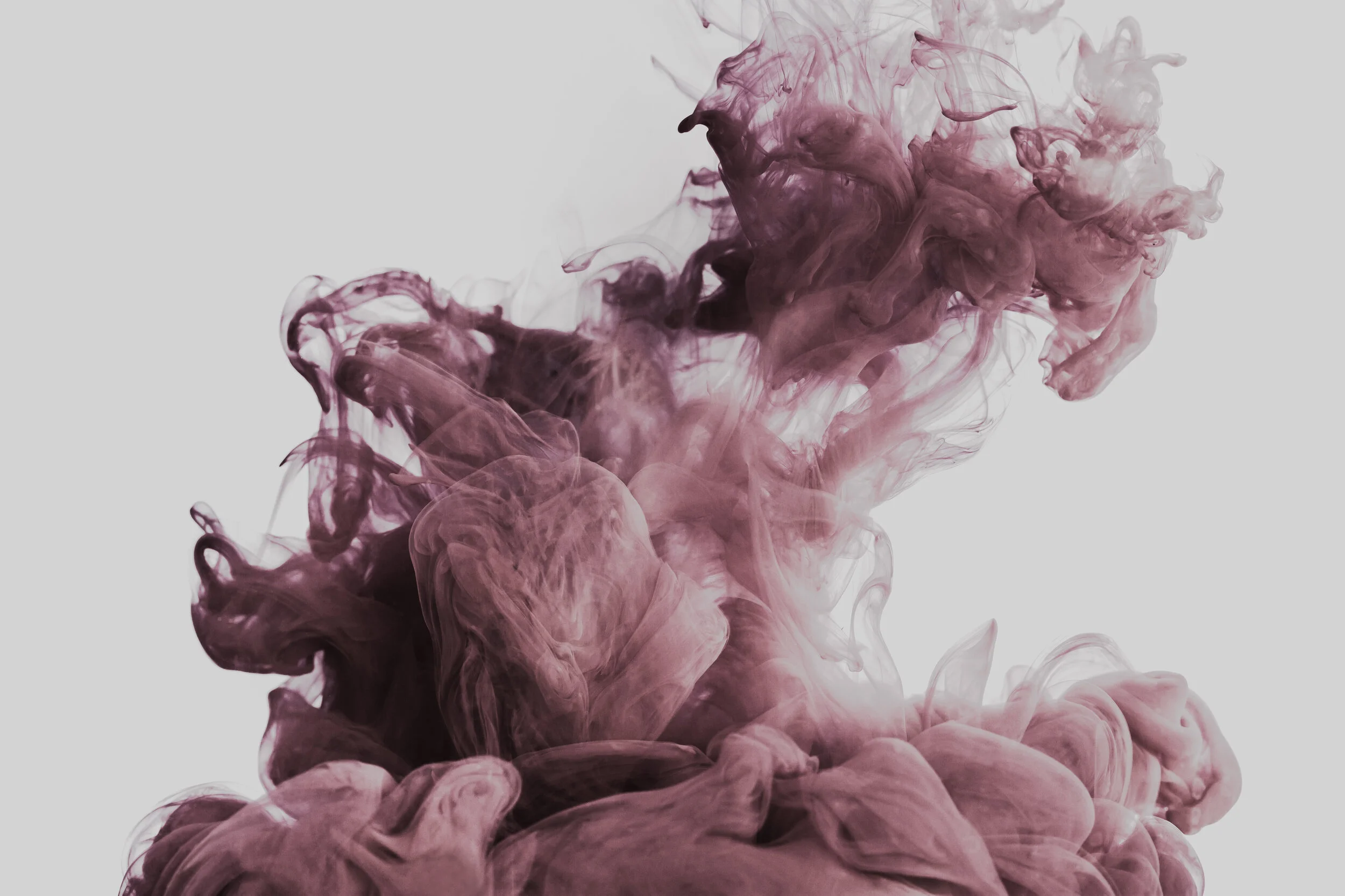 Letter from the Editor: Thoughts on Solidarity 