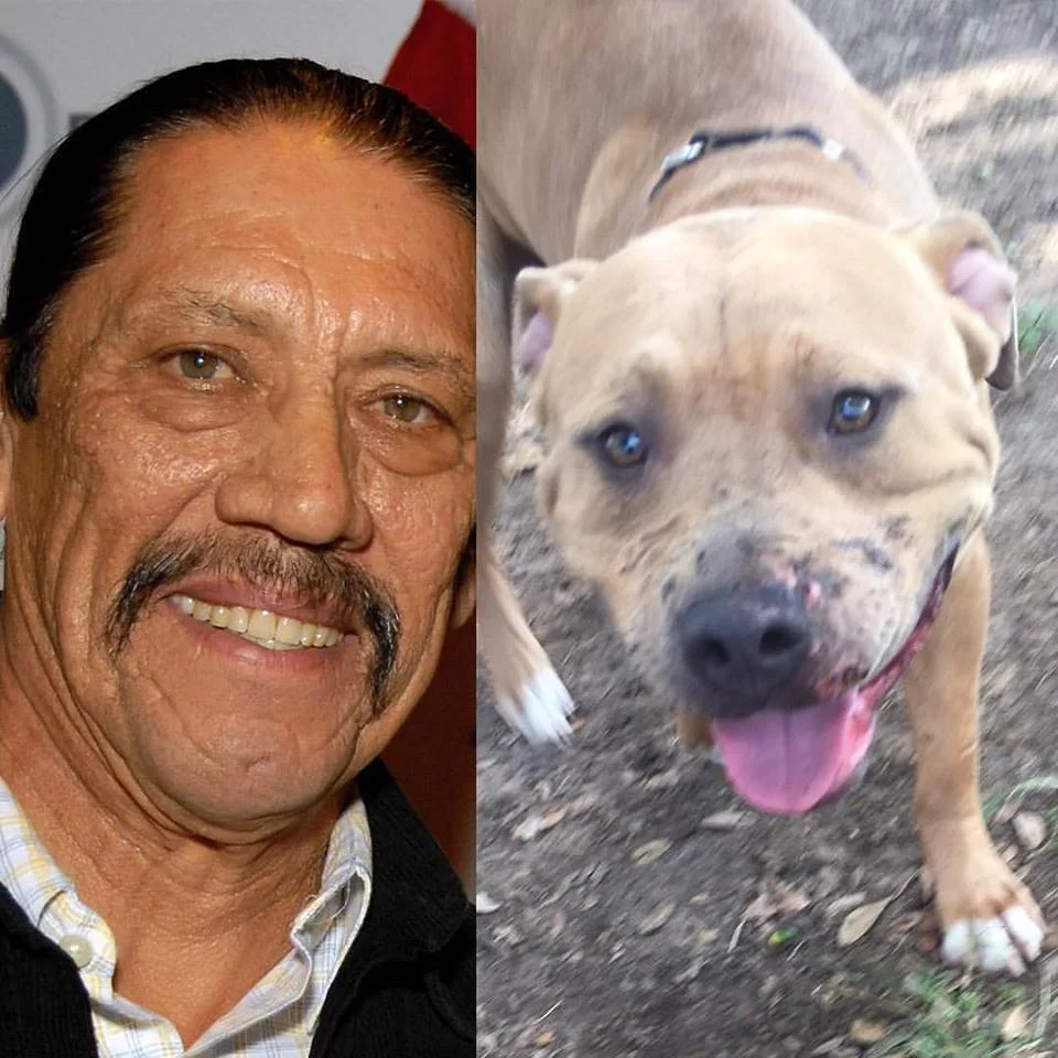 doggy-trejo-danny-trejo.jpg