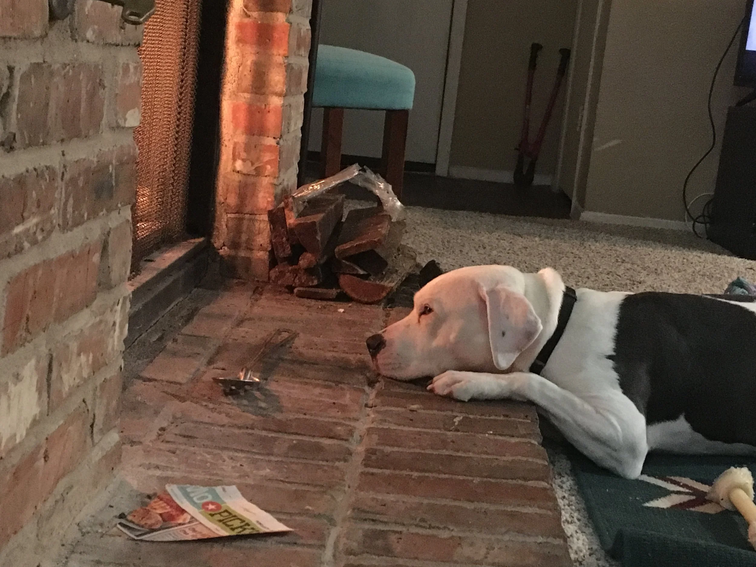 The Barker Chronicles