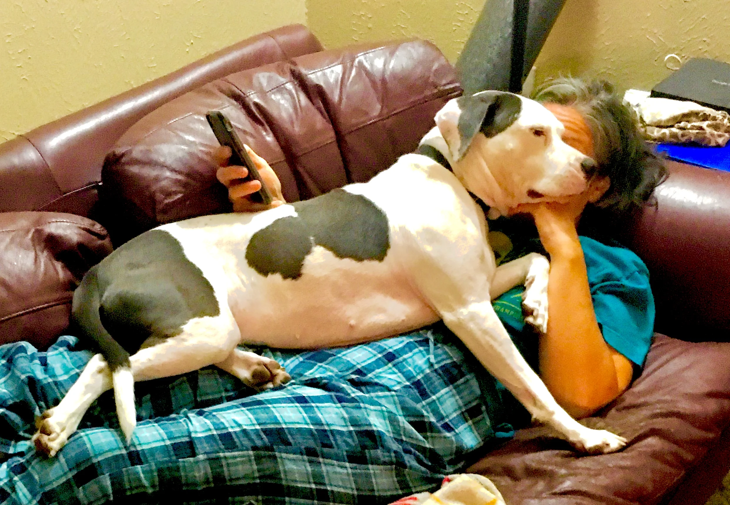 The Barker Chronicles IV