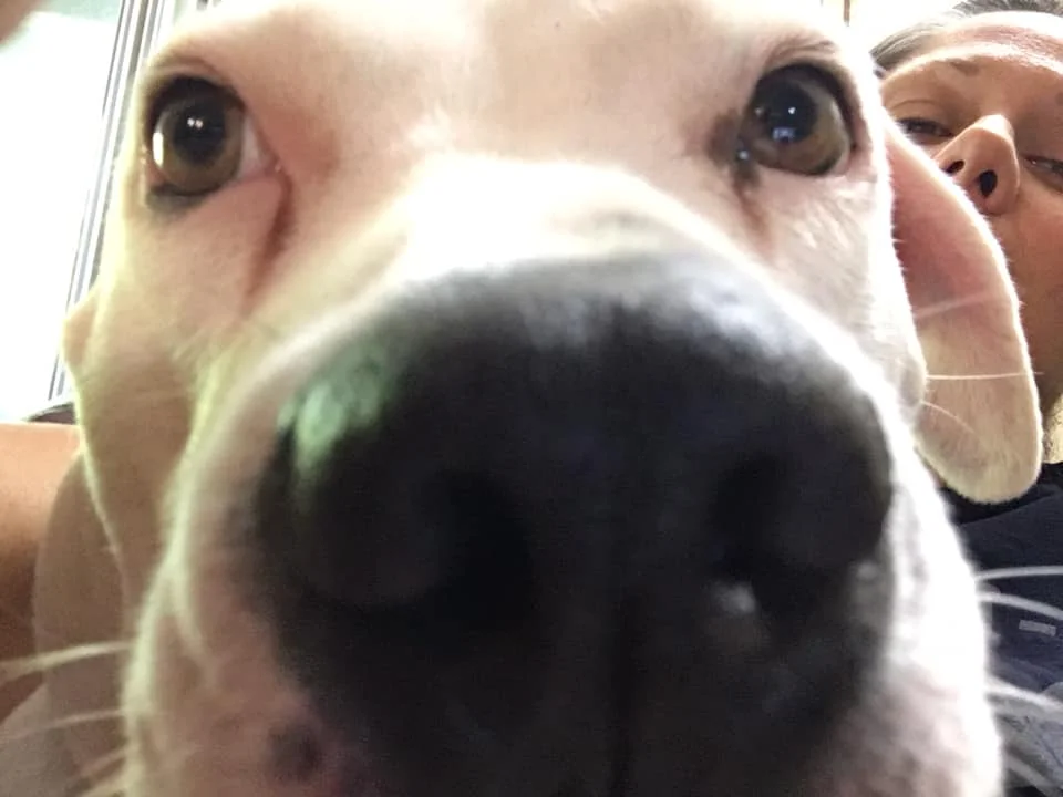 Barker Posey