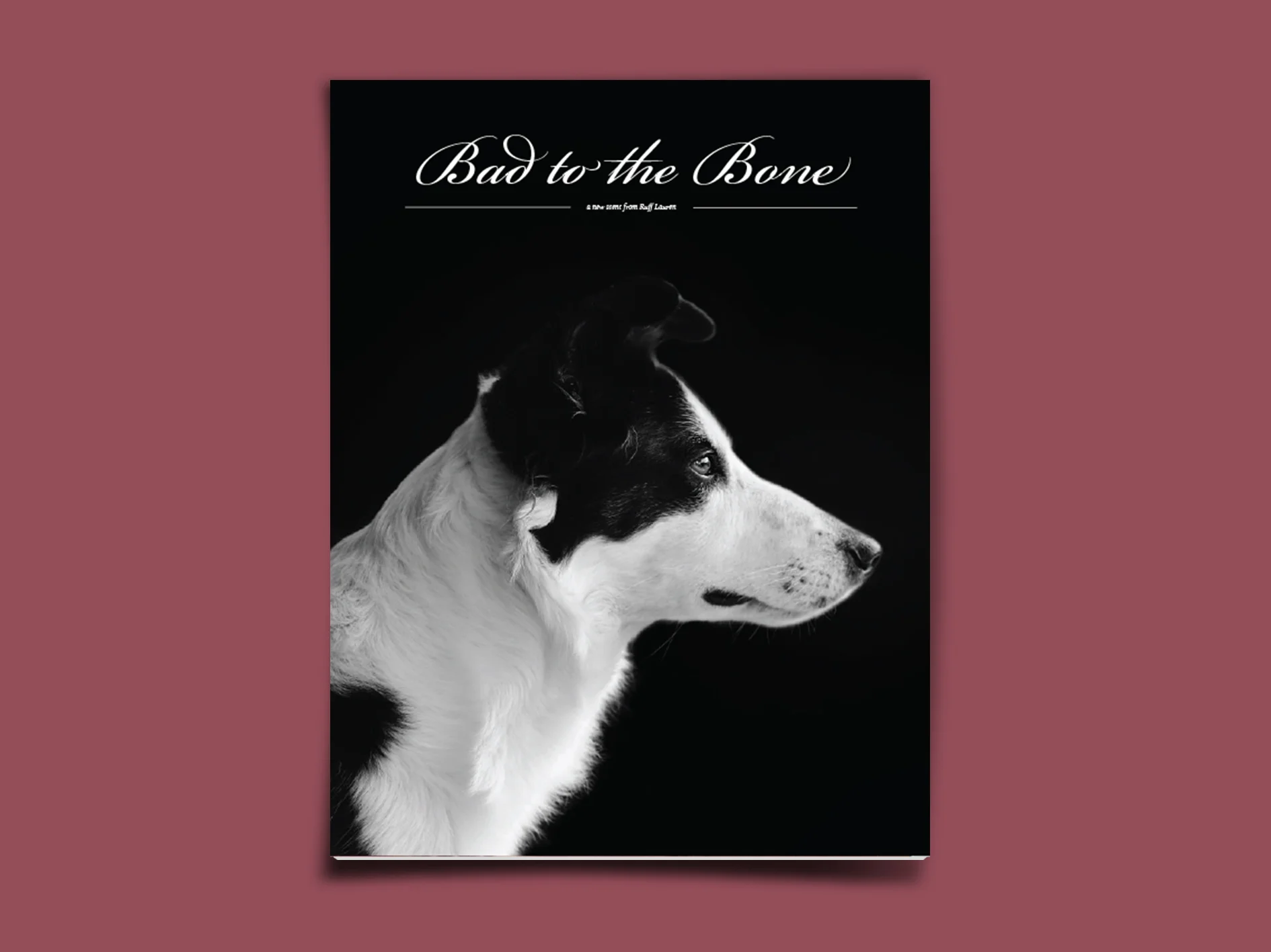 Magazine_Situ_0008_Back Cover.jpg