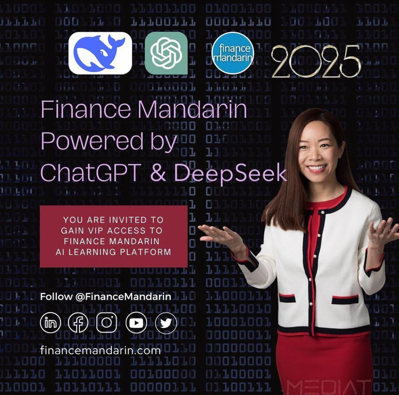 Vienne Lee Finance Mandarin experts in Deepseek