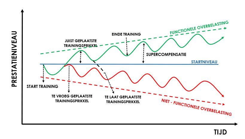 Supercompensatie... wat is het &amp; waarom je dit wilt weten