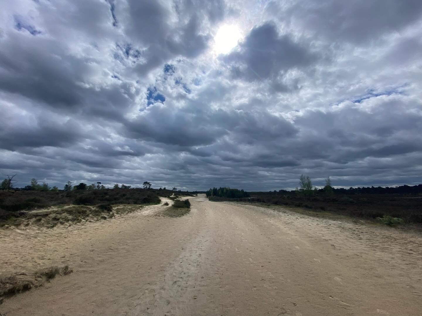 Gisteren had ik een &ldquo;slechte&rdquo; dag.

De avond ervoor begon mijn pols zeer te doen. Dat werd erger en erger. De volgende ochtend was mijn hand opgezet en had ik fors krachtsverlies. Al enige jaren weet ik dat ik cystes heb in de os lunata v