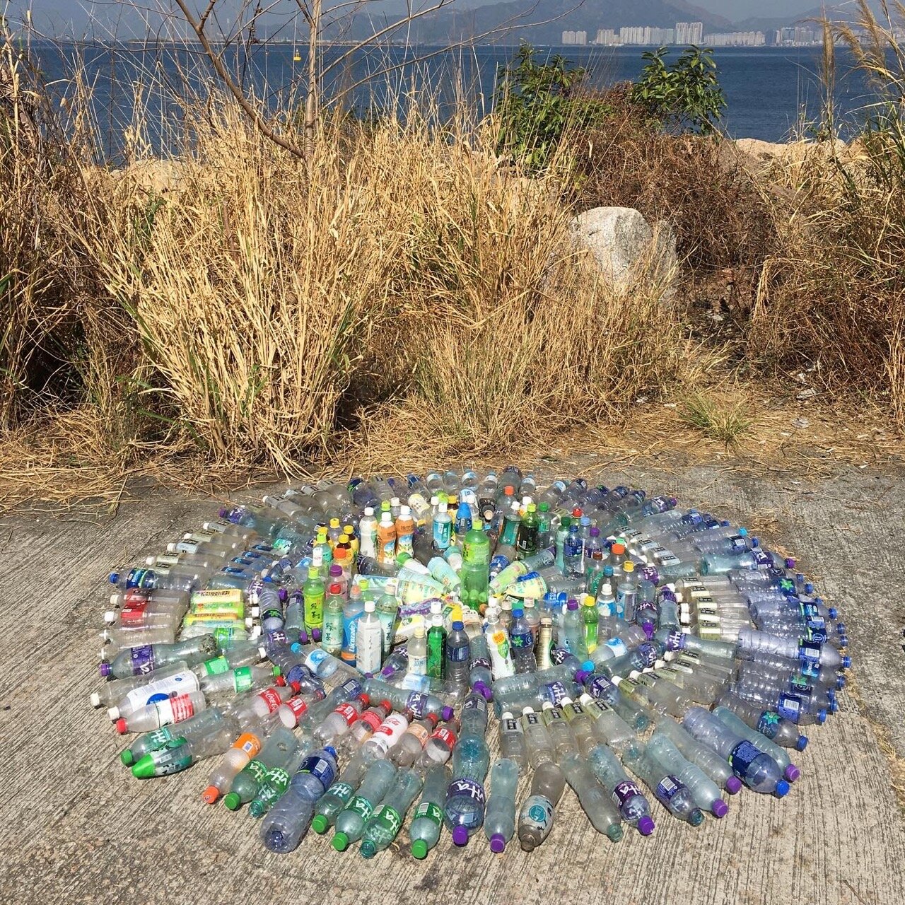 sunny bay adventure cycling cleanup