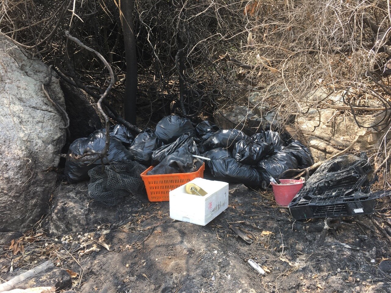123.5 kg of ocean plastic trash collected