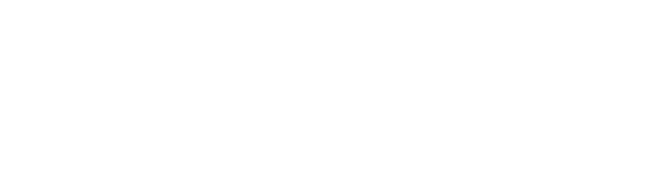 WIF LOGO (LANDSCAPE) - WHITE.png
