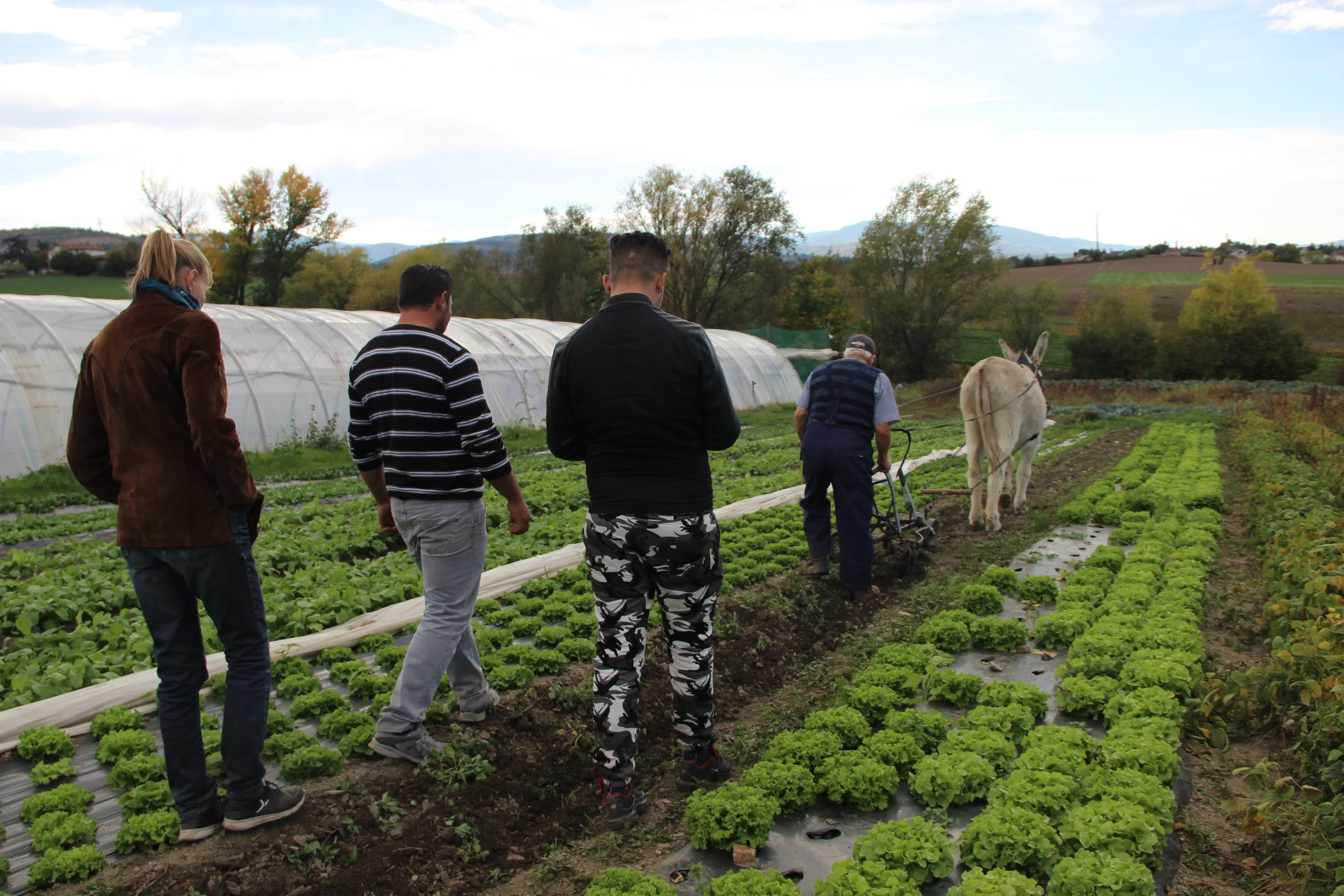 6. Quelle implication citoyenne dans les entreprises solidaires Cocagne ?