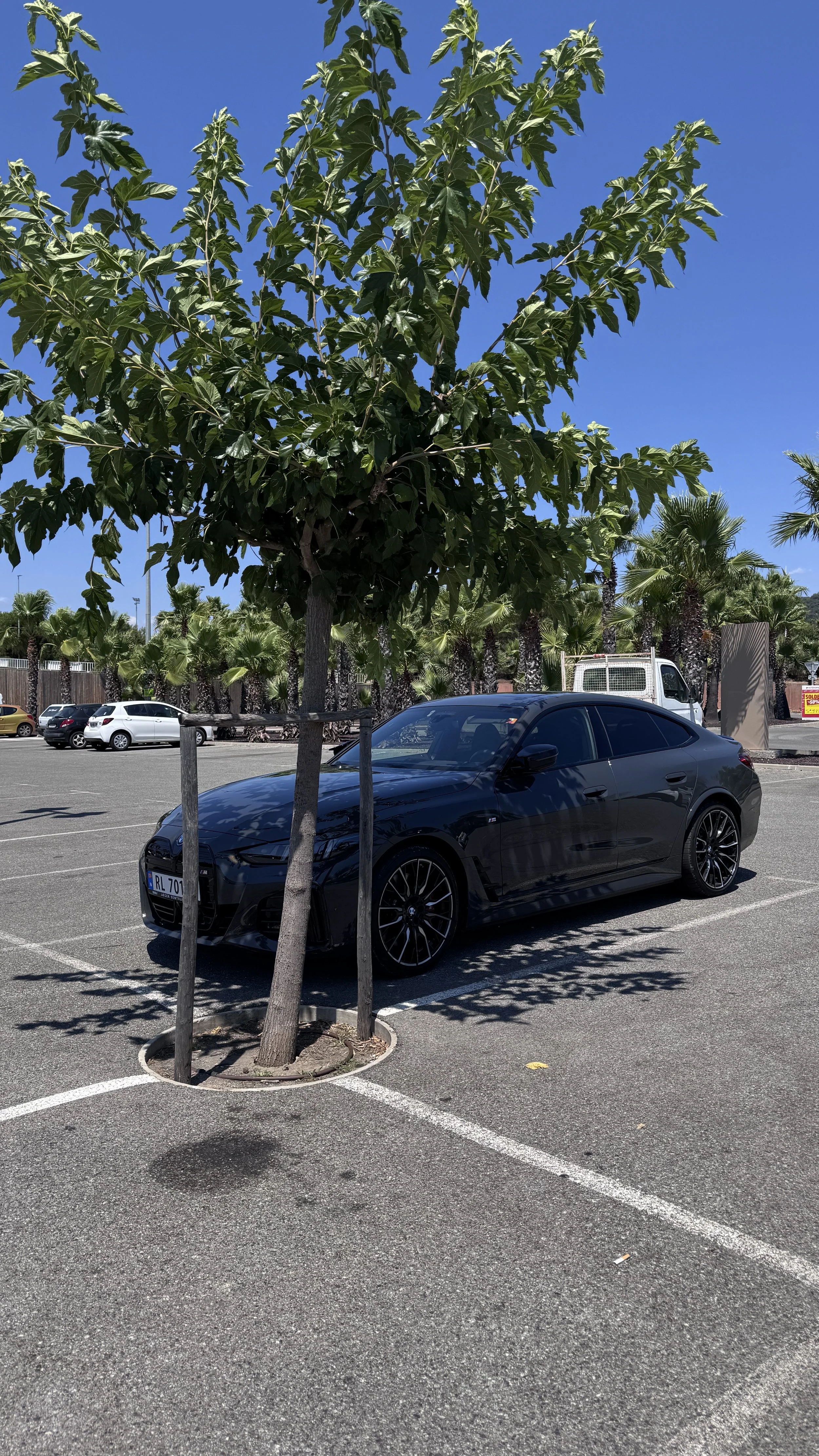 Roadtrip 2025/ Biltur med BMW i4 M50! 