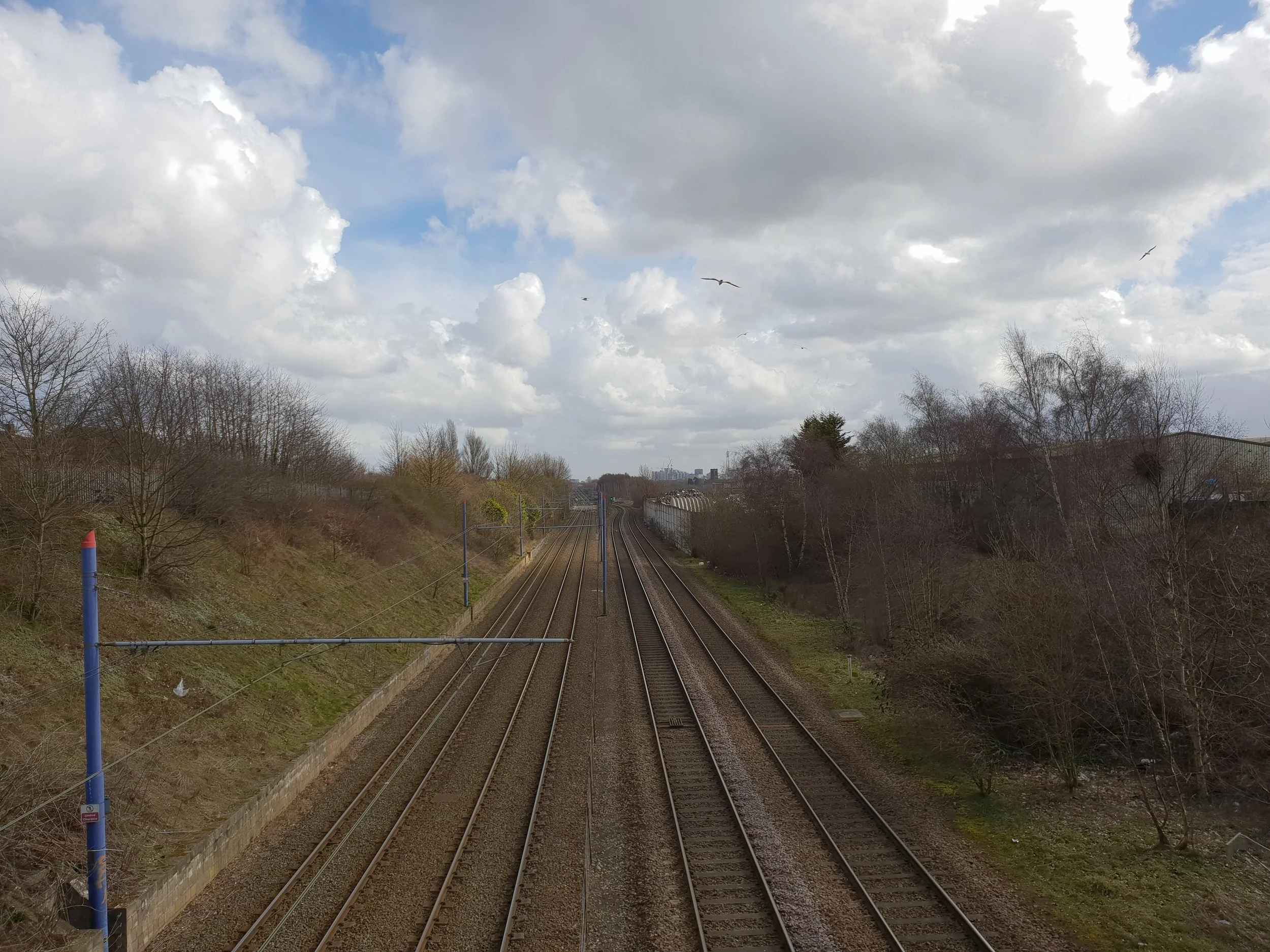 Landscape Image f/2.4