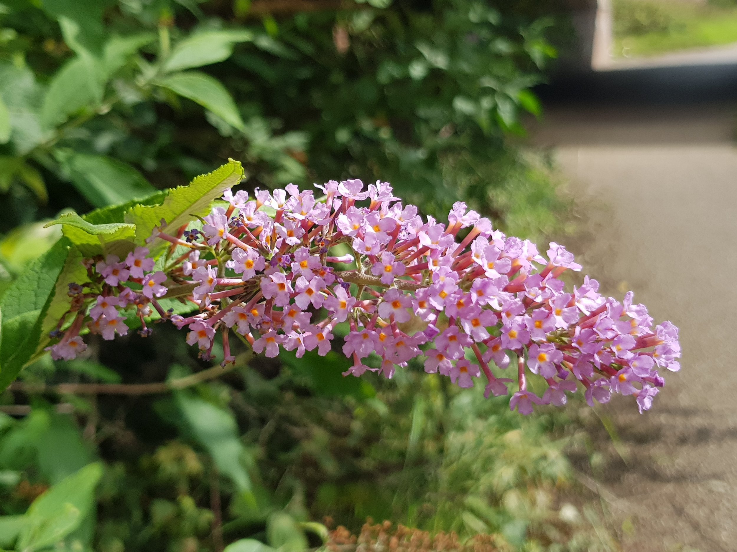 20170917_124129.jpg