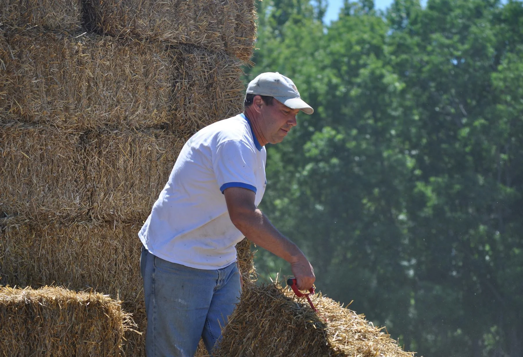 Peterson Hay (1).jpg