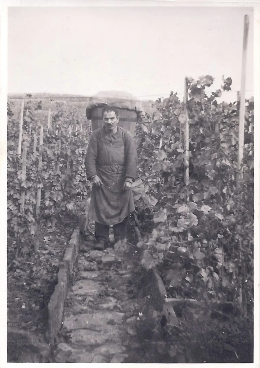 048_Karl Ruoff_weinberg.jpg