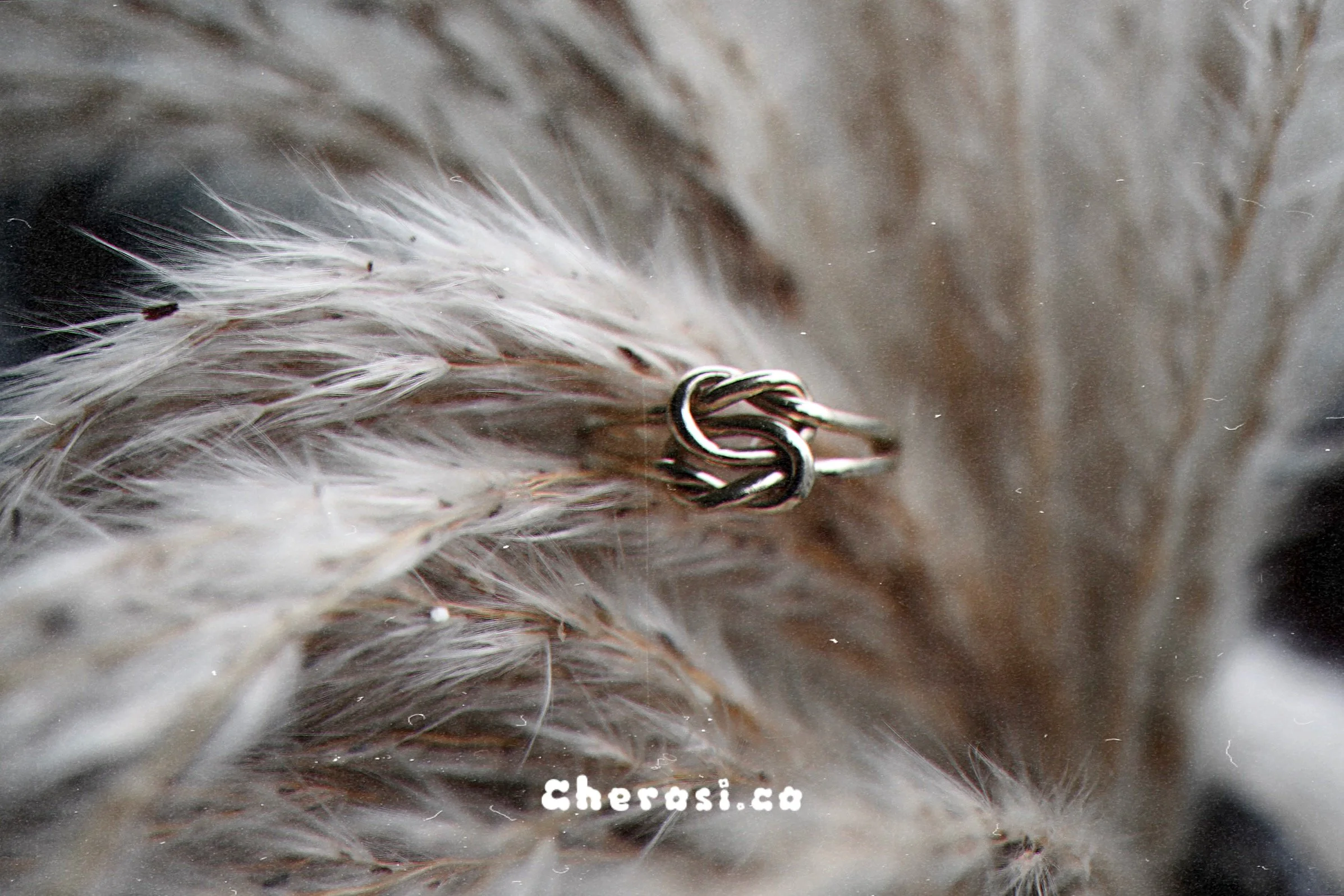 Golden Thoughts: The Power of Forgiveness - Why It’s Important to Forgive but Never Forget