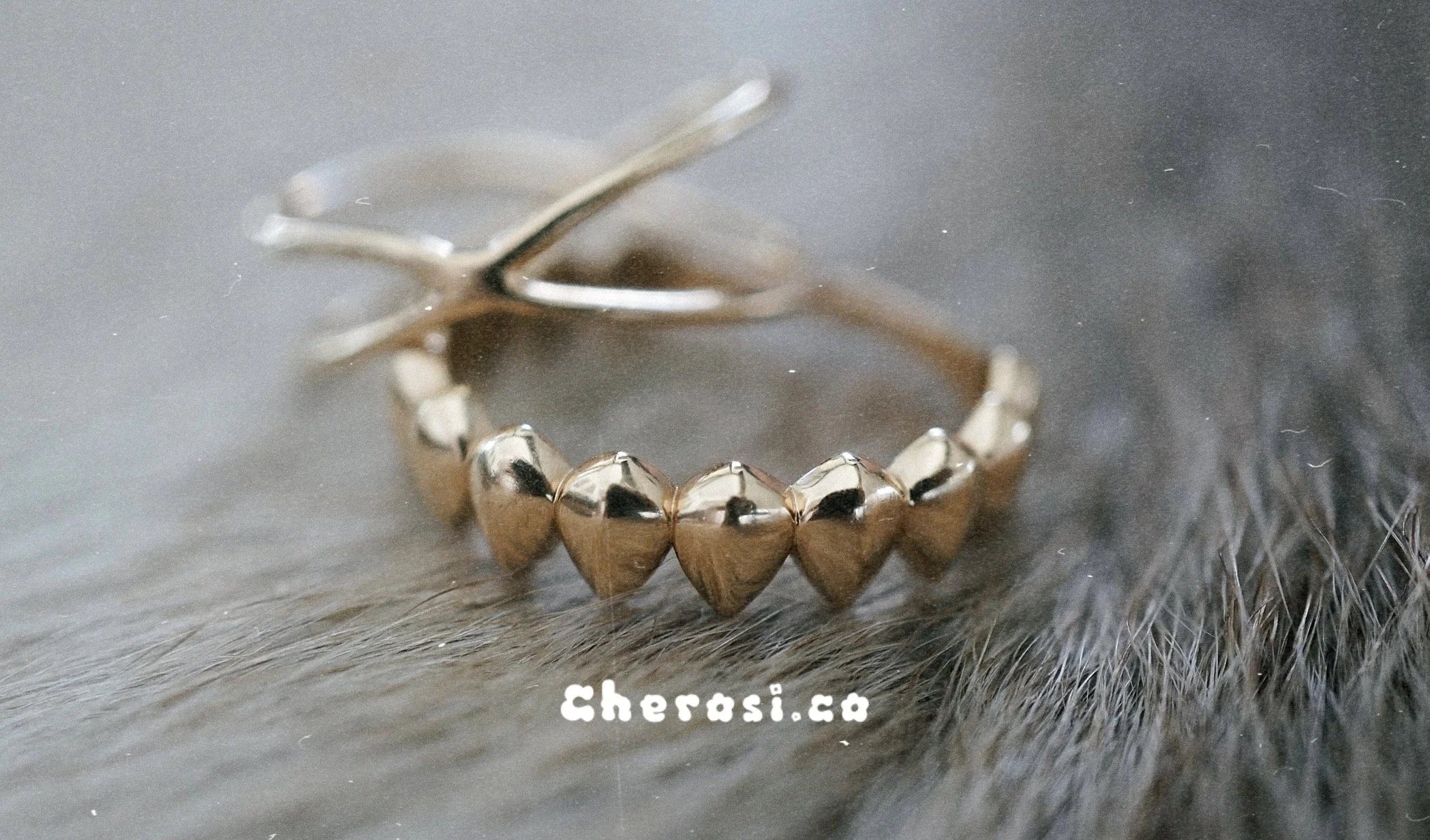 Golden thoughts: Overcoming the Challenges of Following Your Dreams