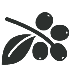 coffeebranch copy2.png