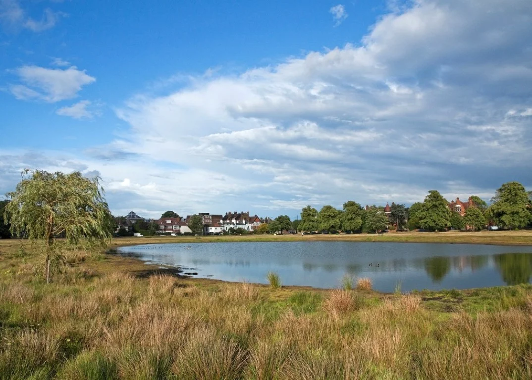Wimbledon-Common-Medium.jpg
