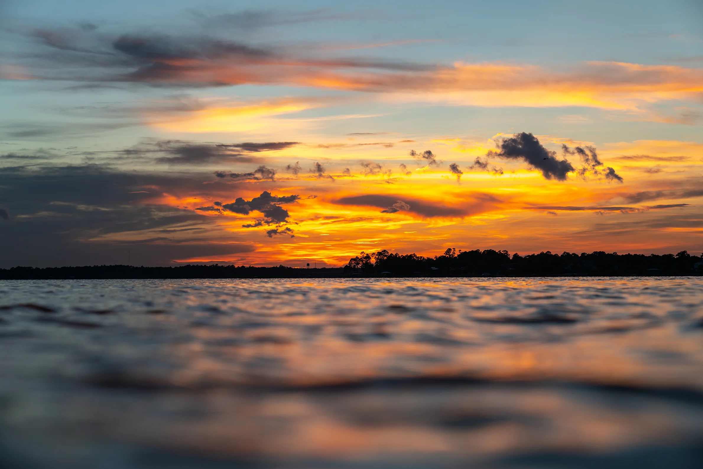 Blackwater Bay Tours