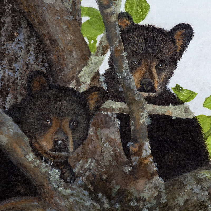 Painting of Appalachian Wildlife - Bear Cubs