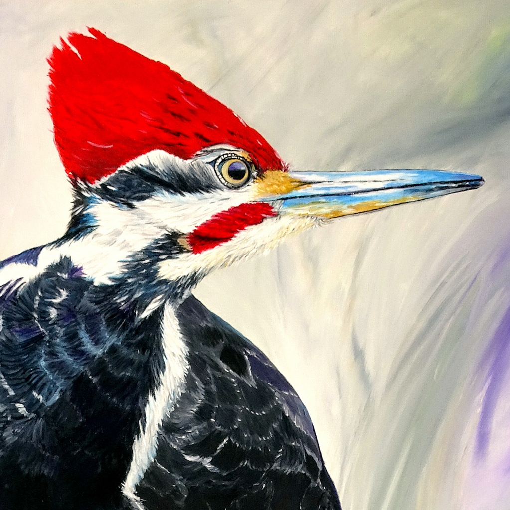 Detail of Pileated Woodpecker Fine Art Painting