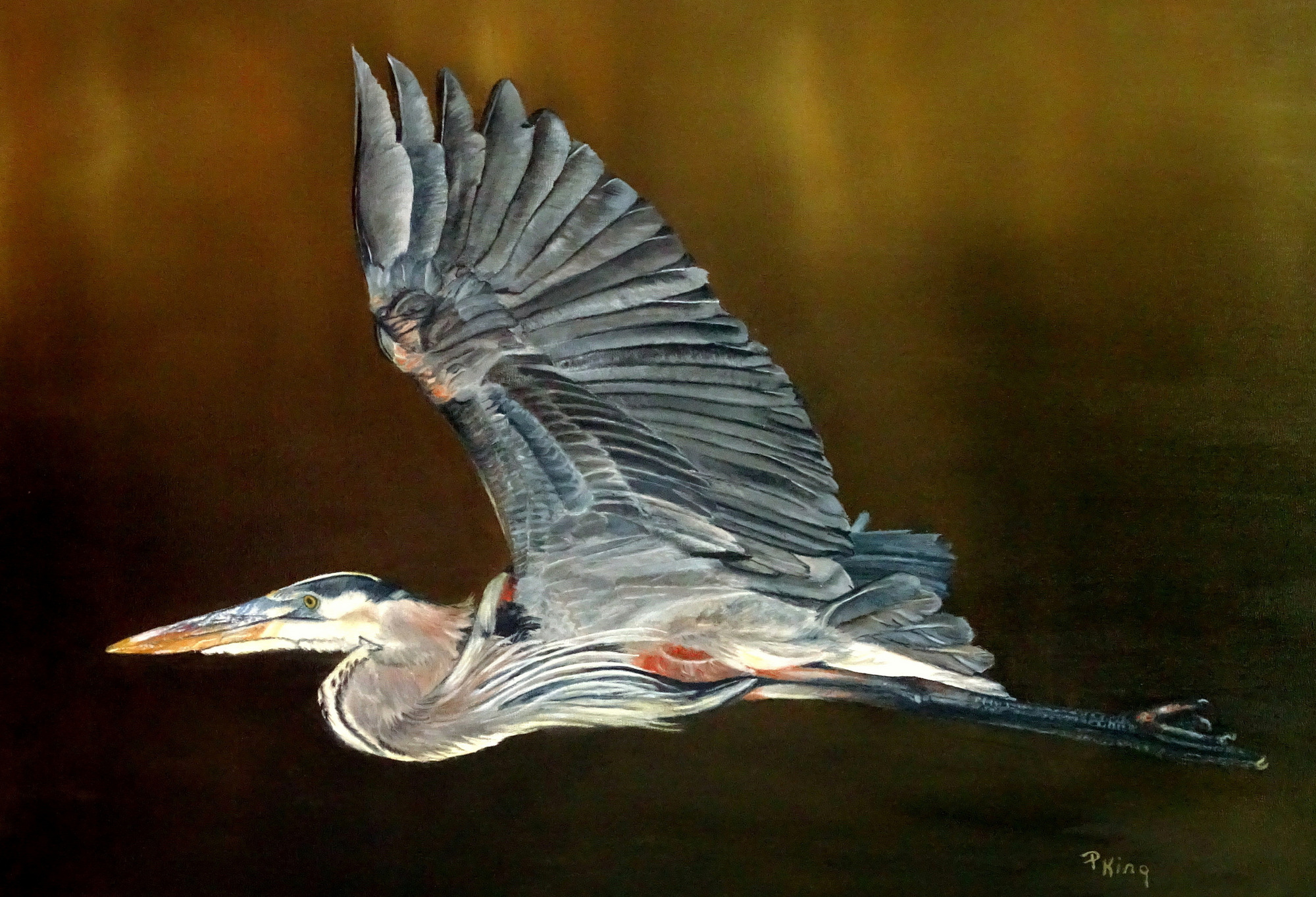 Blue Heron, Animal & Bird Fine Art Painting, Peggy King