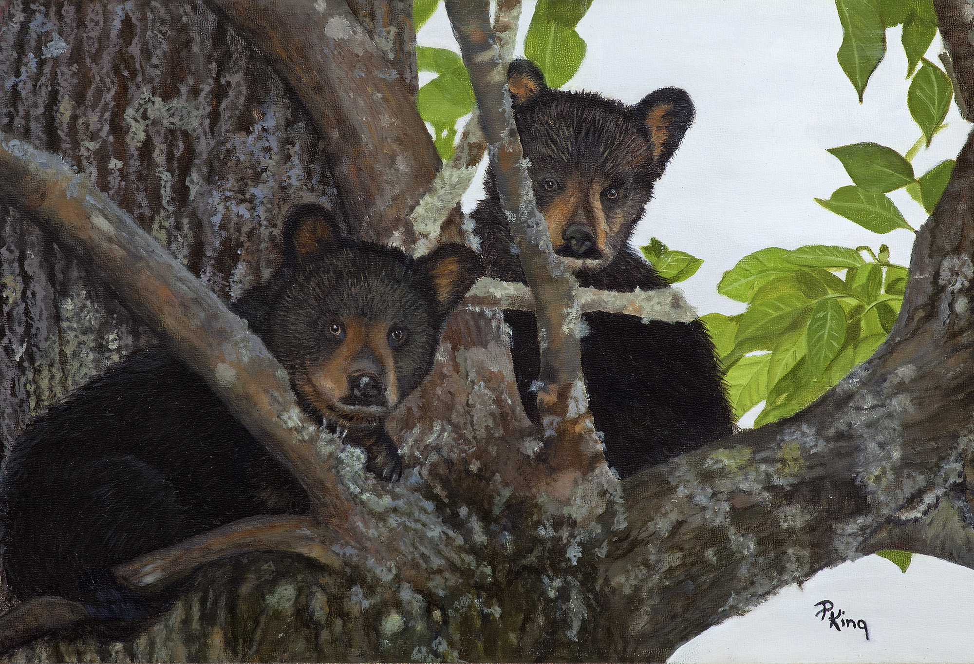 Wildlife Painting, Black Bears, Peggy King - Fine Art Painting