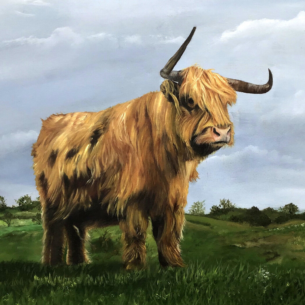 1-Nature & Wildlife Painting, Ox in Field, Peggy King, Asheville, NC-001.jpg