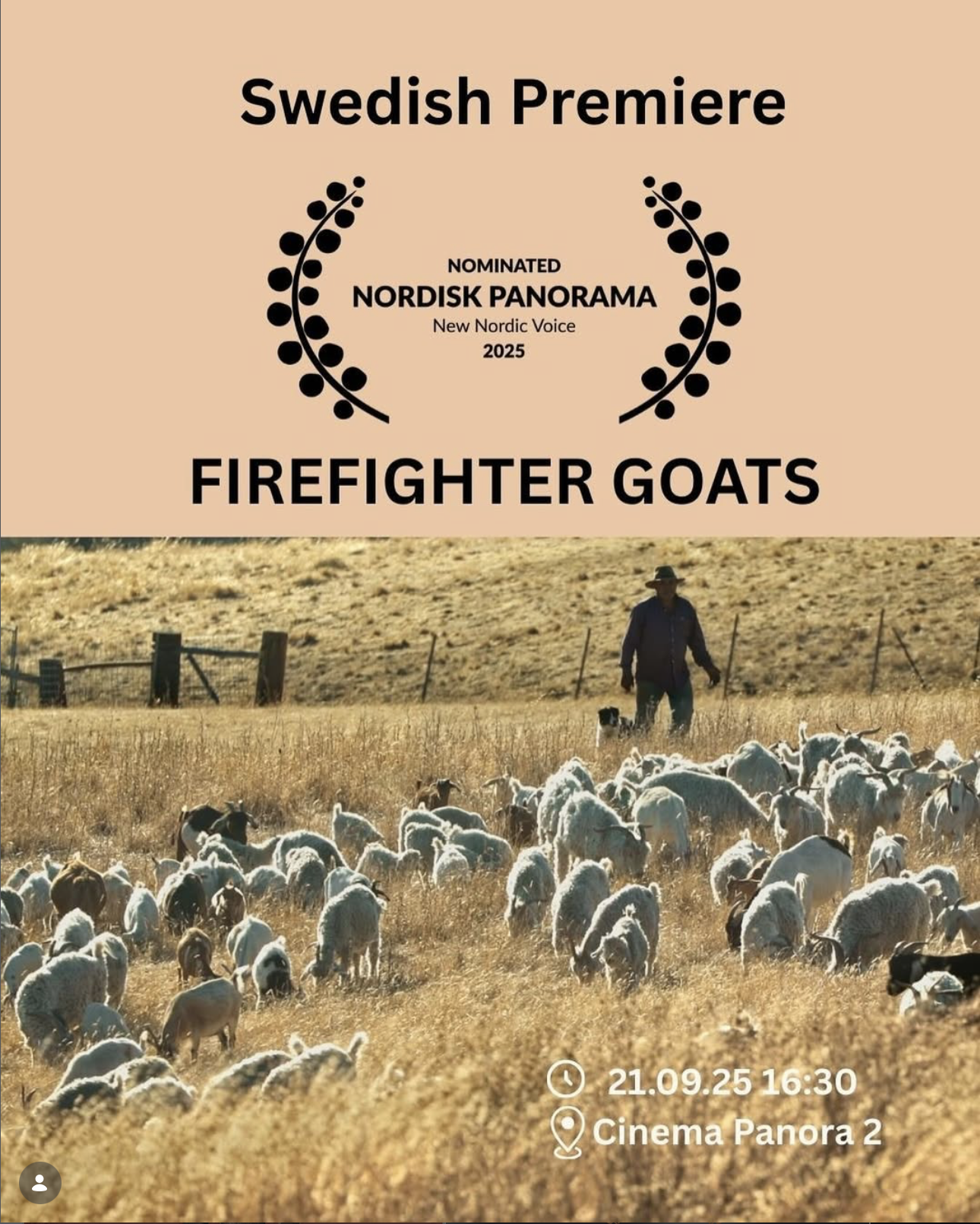 FIREFIGHTER GOATS plays at Nordisk Panorama