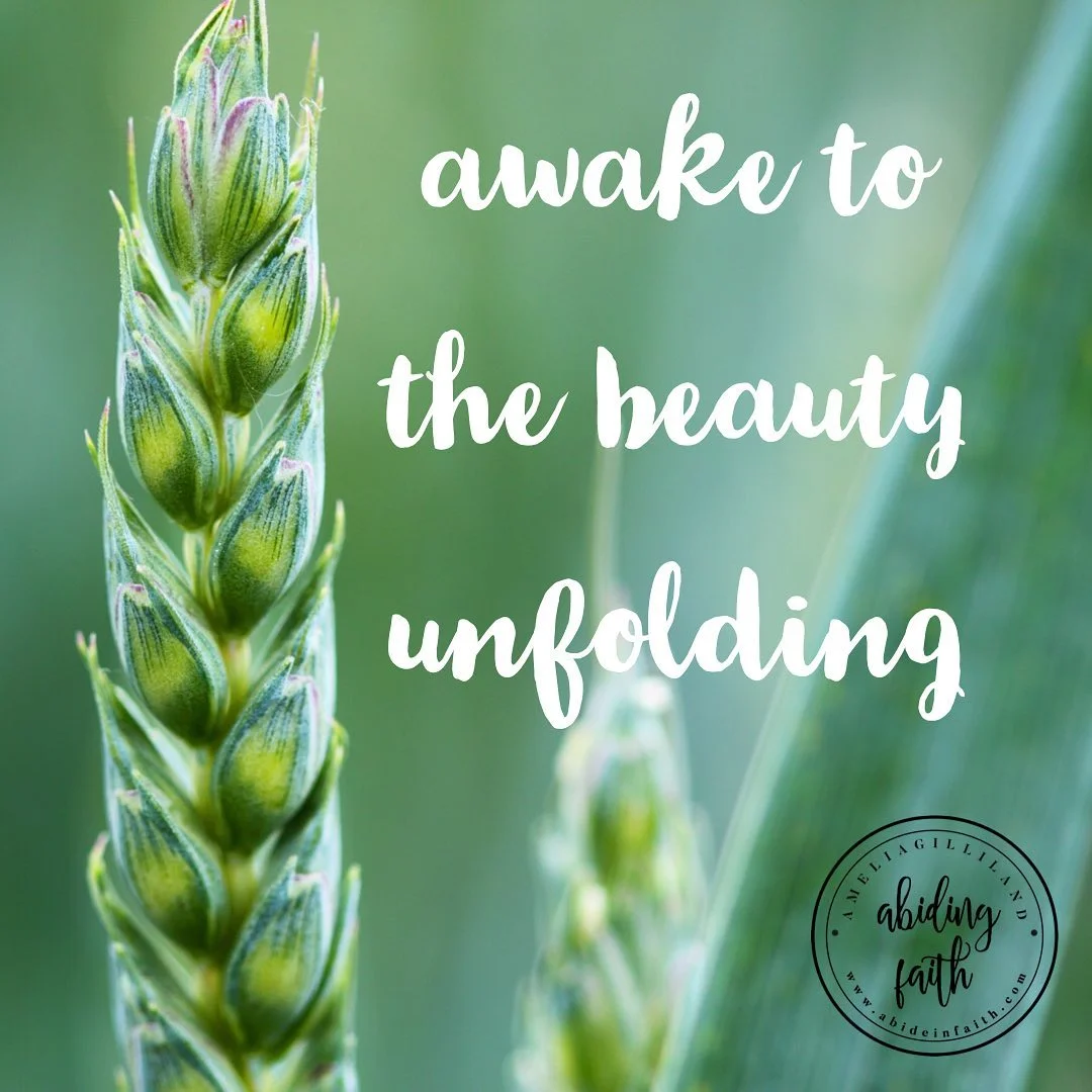 beauty of unfolding.jpg