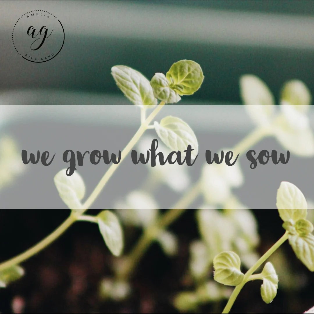 growsow.jpg