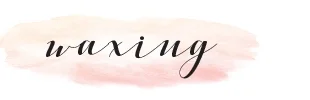 Servicebanner_Waxing.jpg