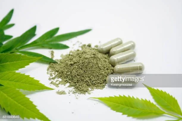 Photo by Kwangmoozaa/iStock / Getty Images