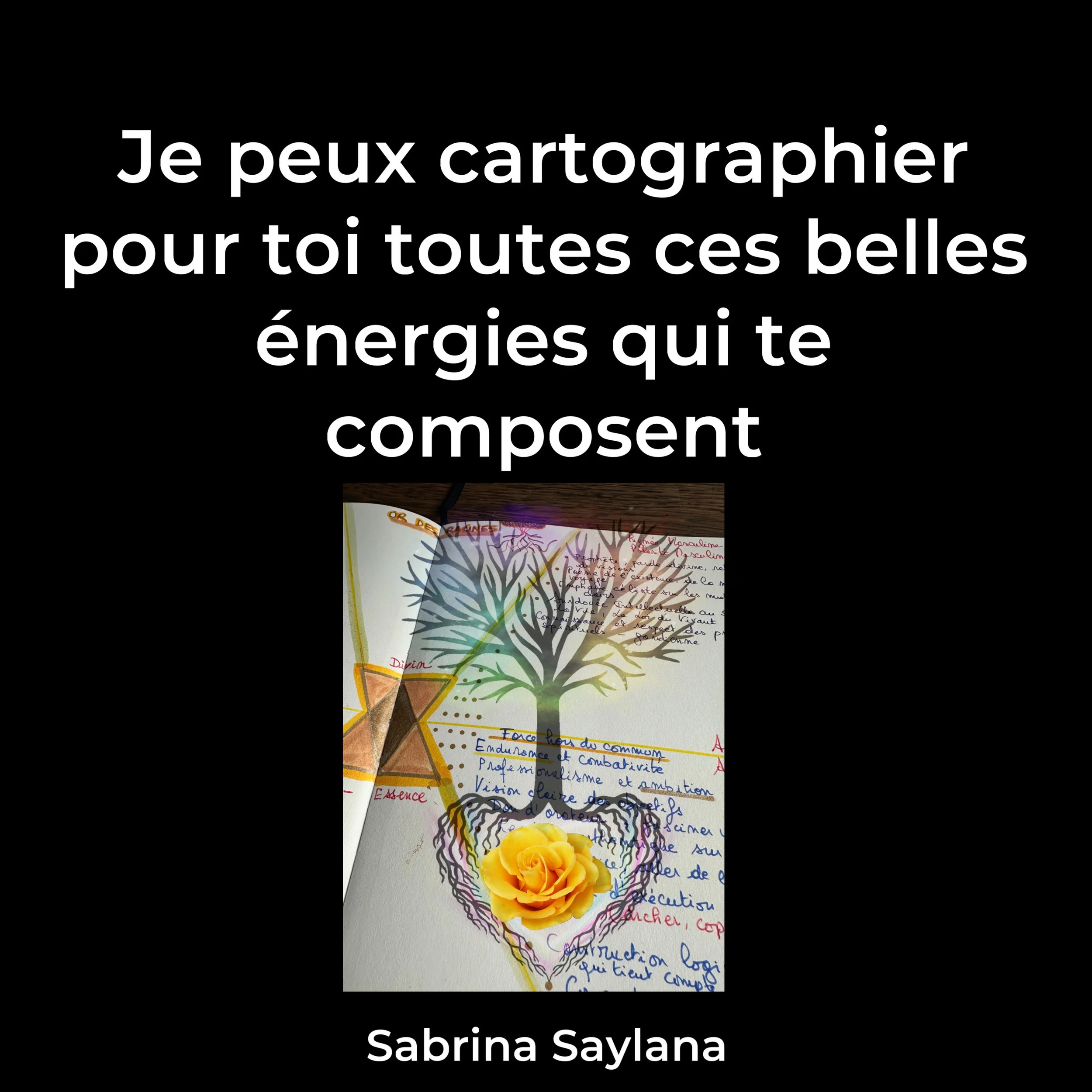DE184A0C-438E-4273-8805-30A8C52C3A83.JPEG