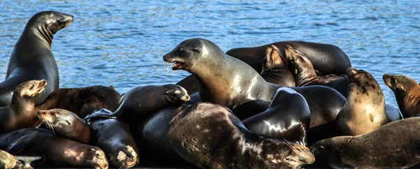 Monterey Bay, California