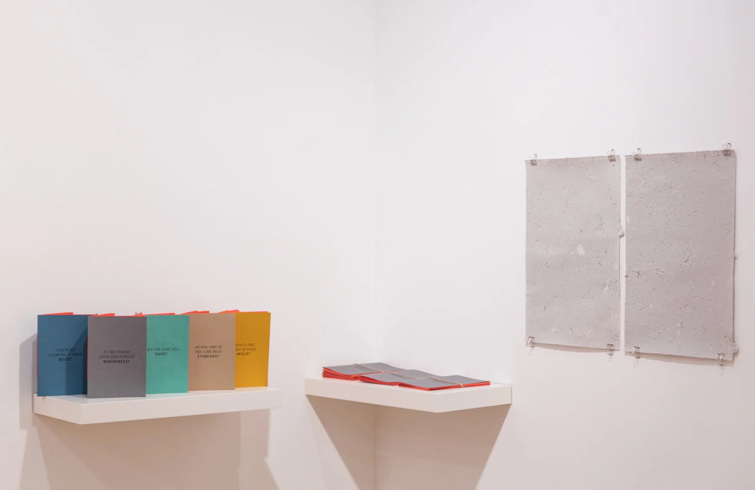 Rajyashri Goody Installation | Manusmriti panel, 2017 | Shredded and Pulped Paper | 13 x 19.2 in