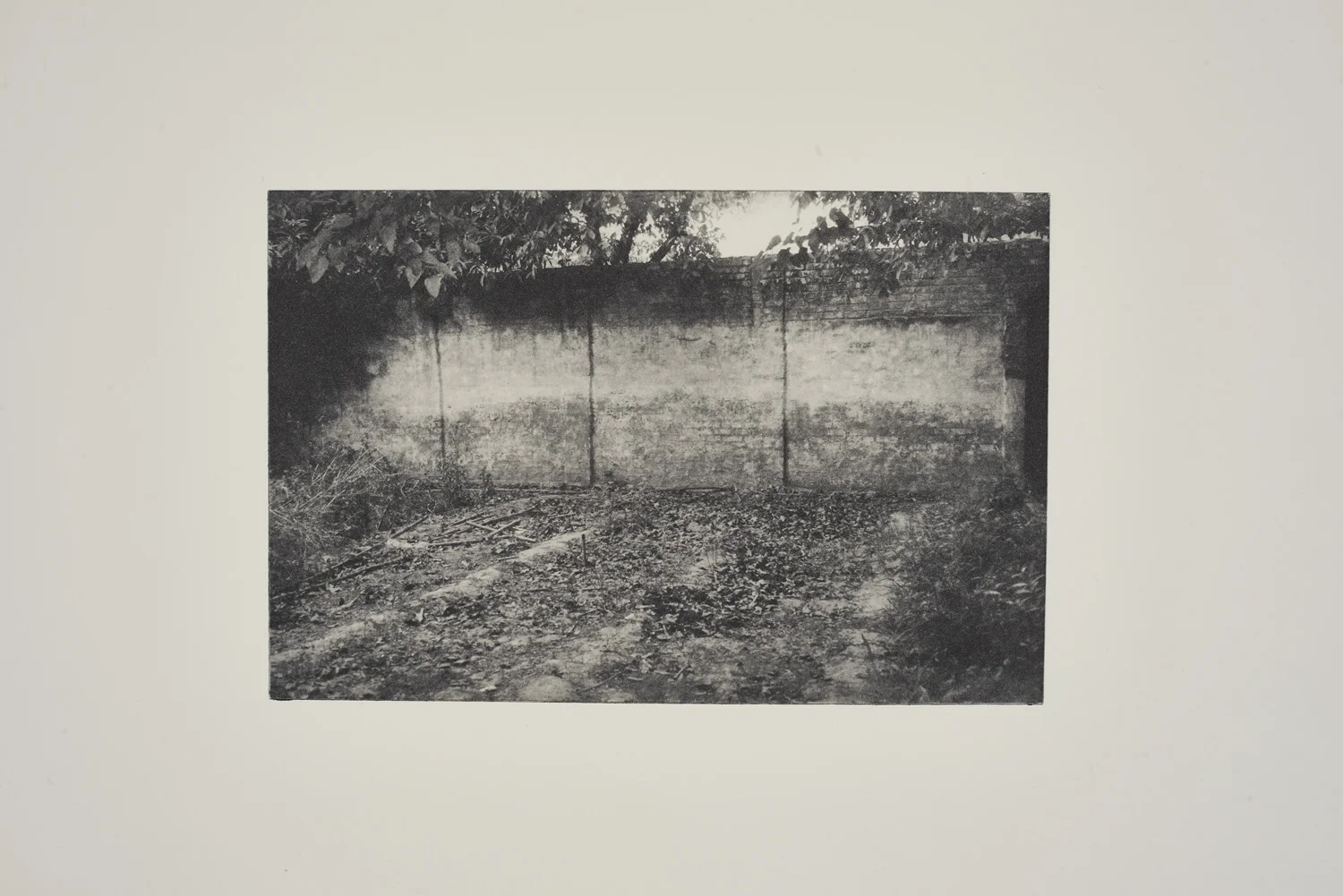 NatashaMalik_Untitled_2016_Photopolymer Print on Paper_15.5x11.2in.jpg