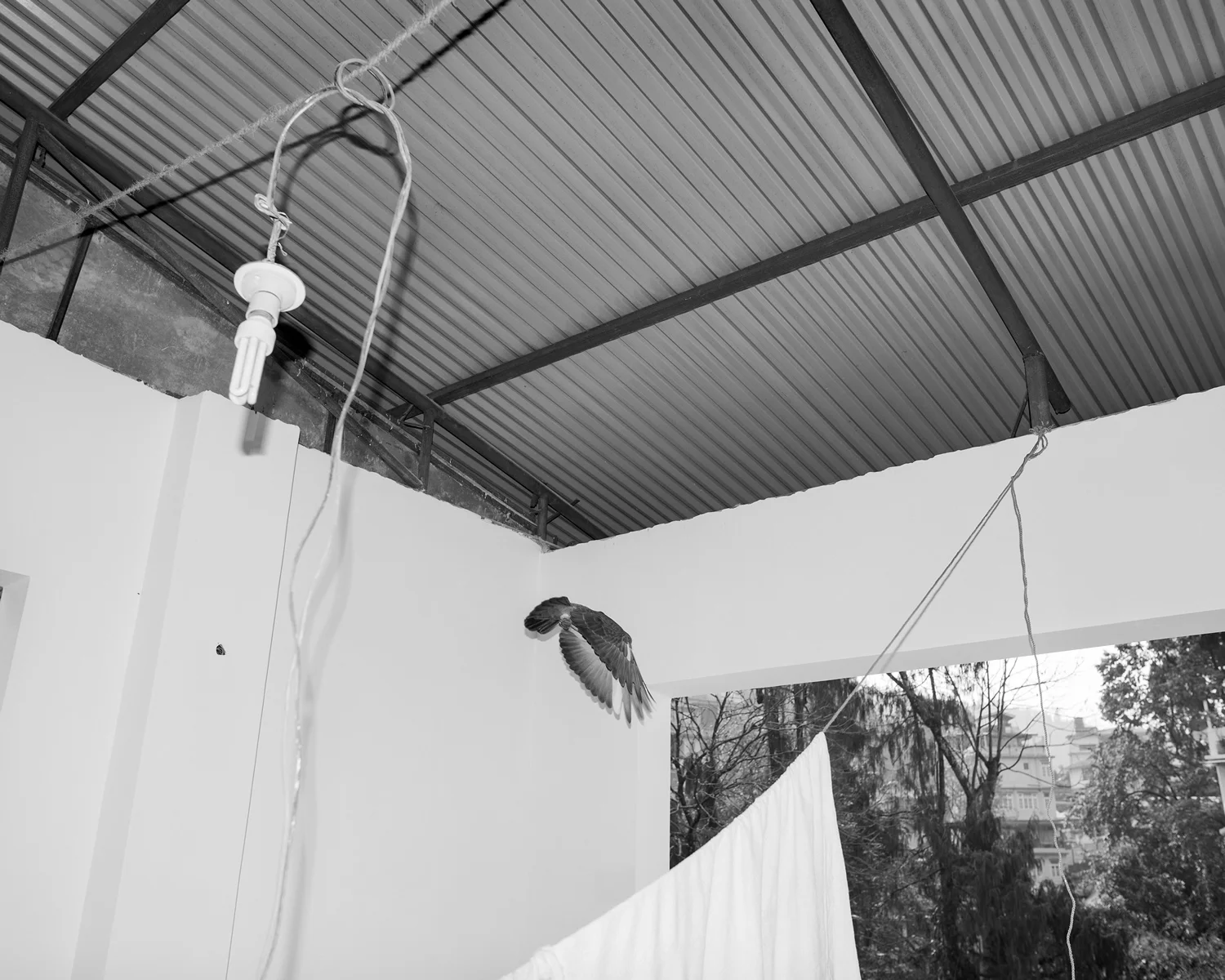 TenzingDakpa_Bird in mid-flight (The Hotel)_2018_Archival Pigment Print_15.7x19.6in.jpg