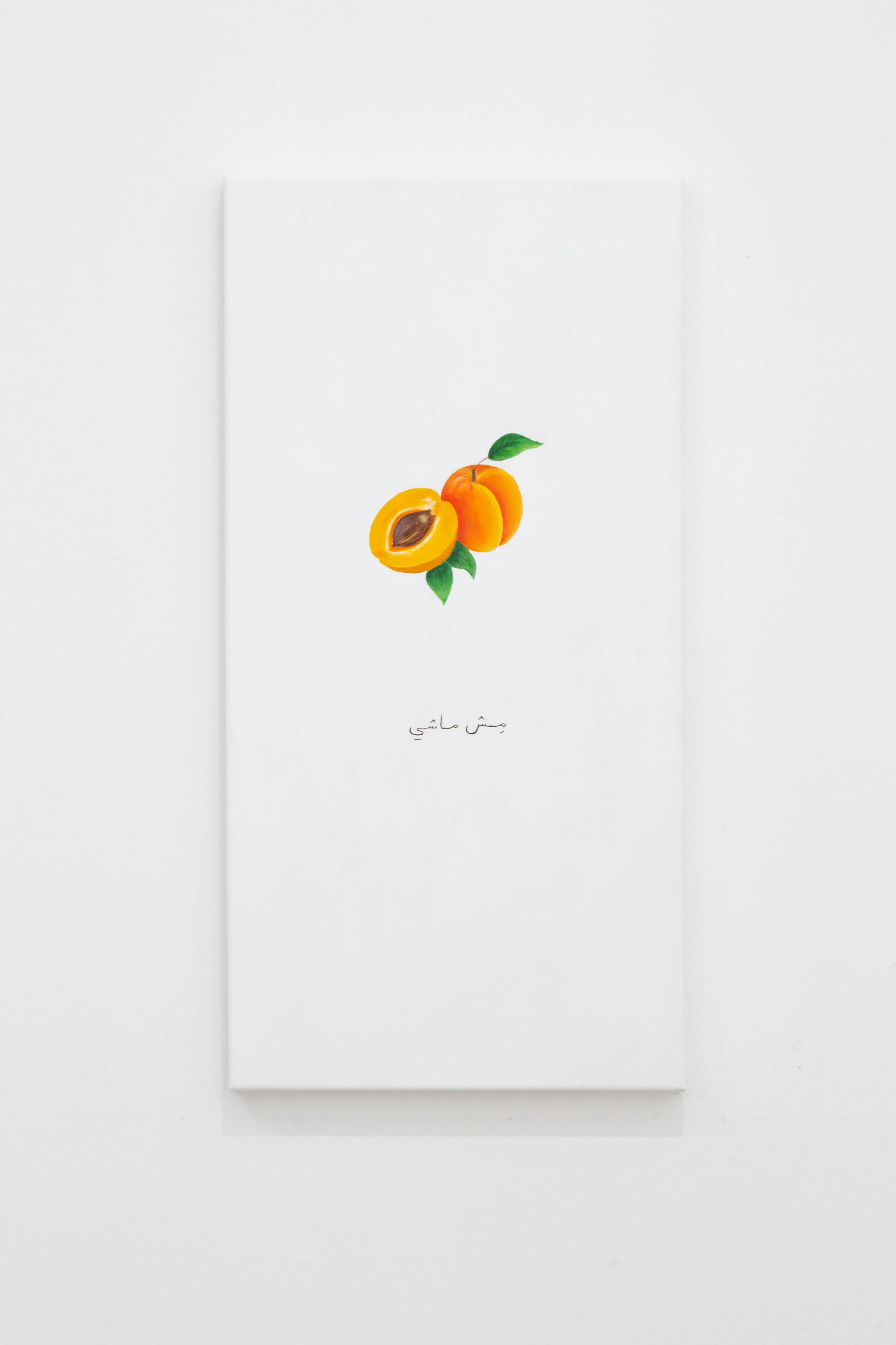 Mish Mashee (I Am Not Leaving)