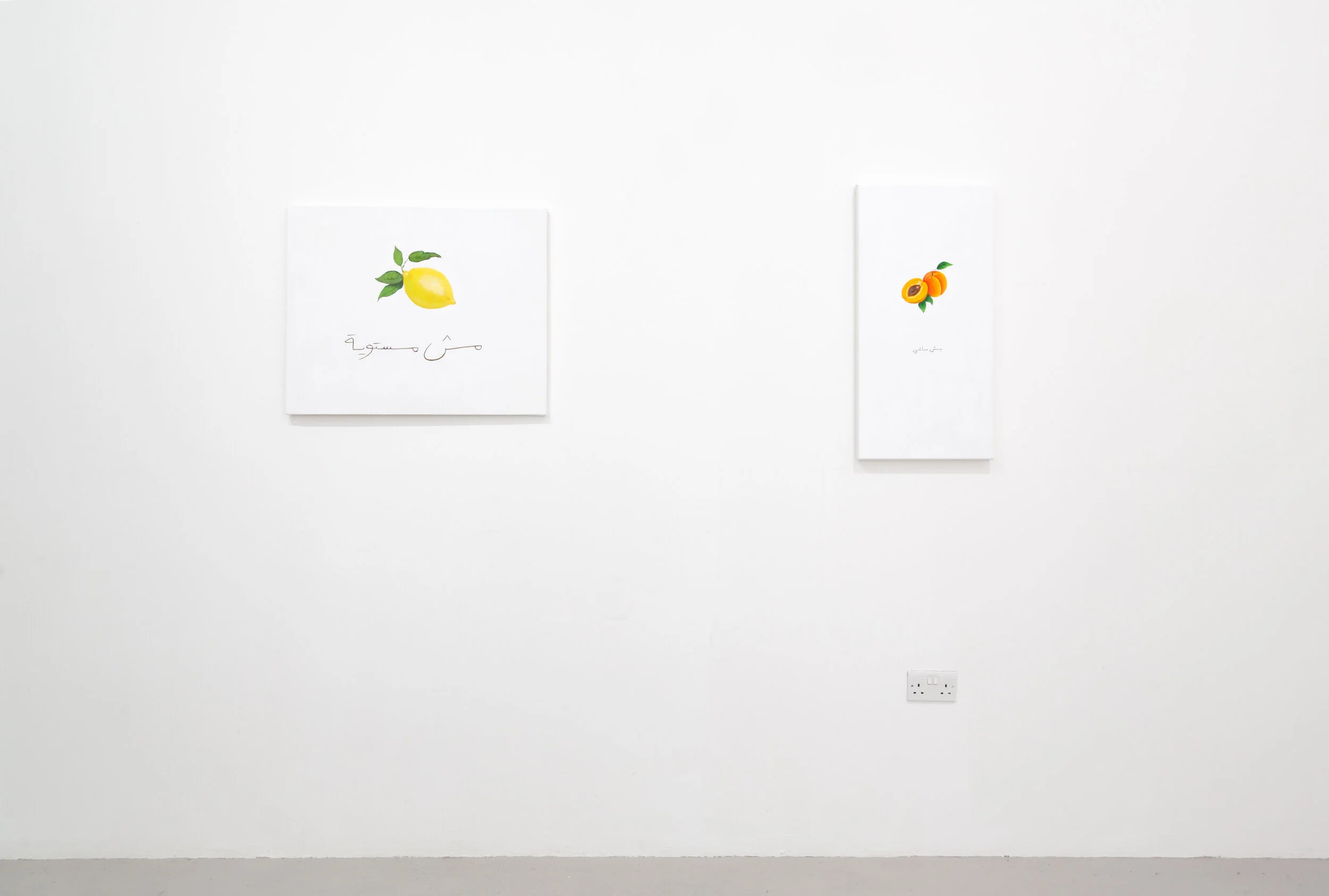 areej kaoud: mishmish