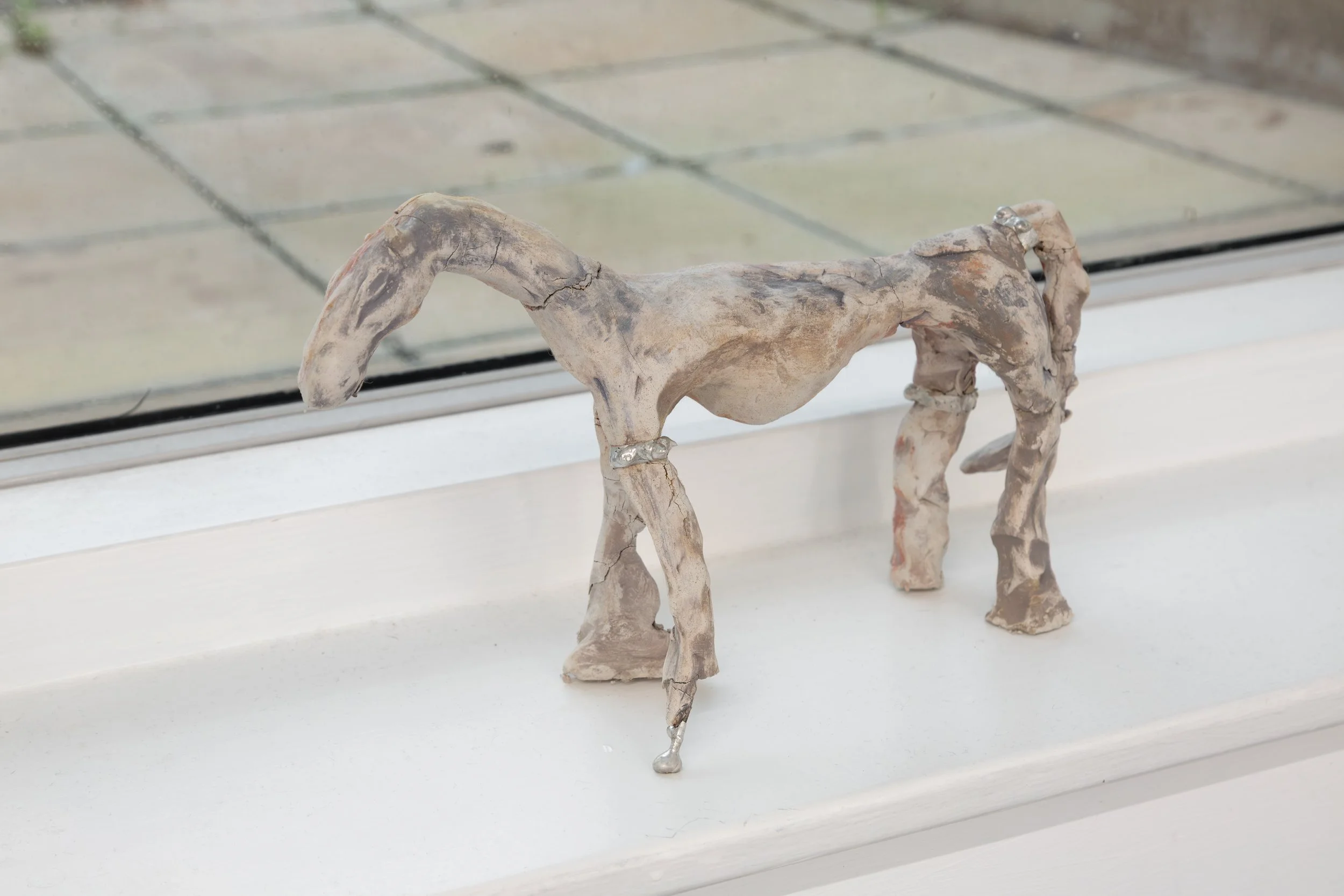 Horse with prosthetic hoof 1.jpeg