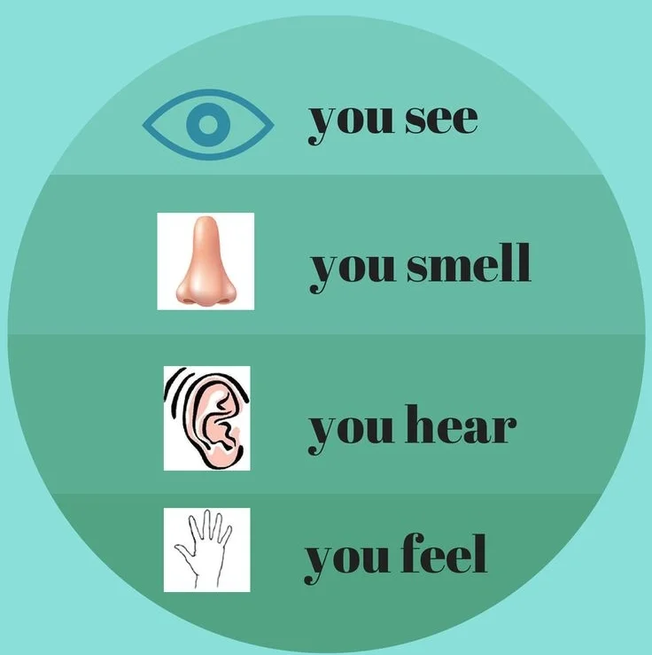 5,4,3,2,1 Right Here, Right Now — ANJ Counselling & Psychotherapy