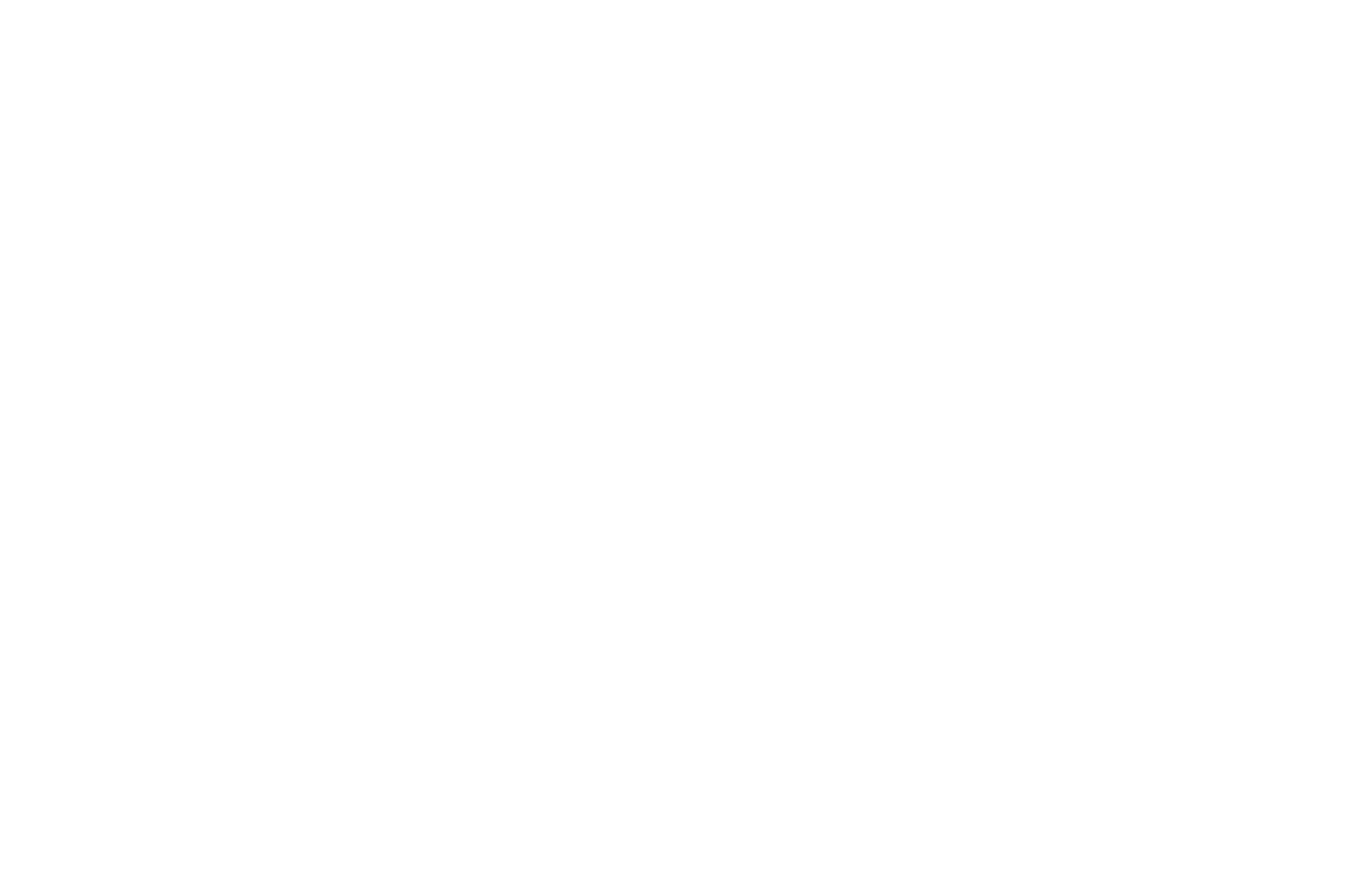BEST PICTURE NOMINEE - SISFA - Find Happy 2017.png