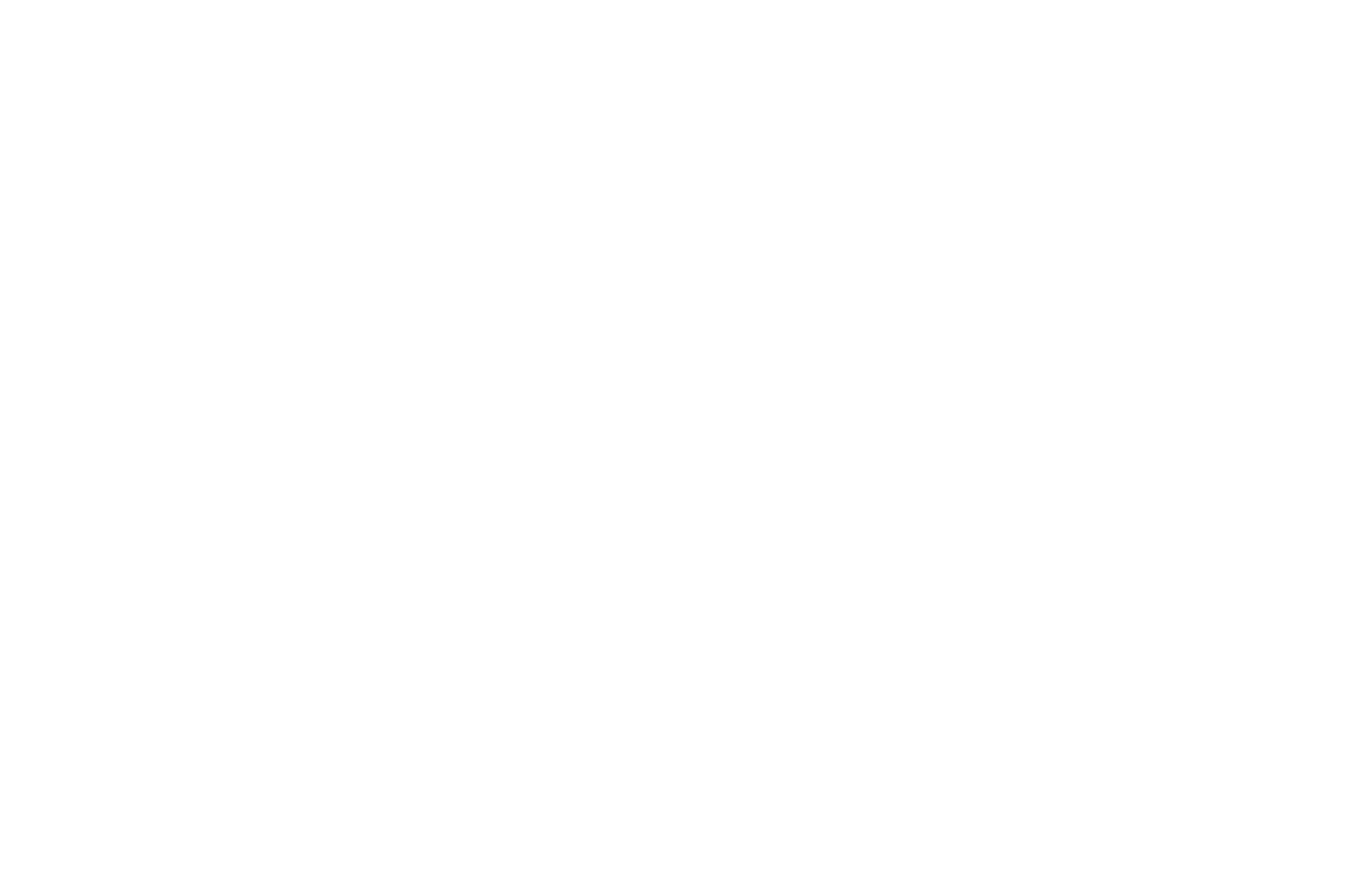 BEST DOC NOMINEE - SISFA - Find Happy 2017.png